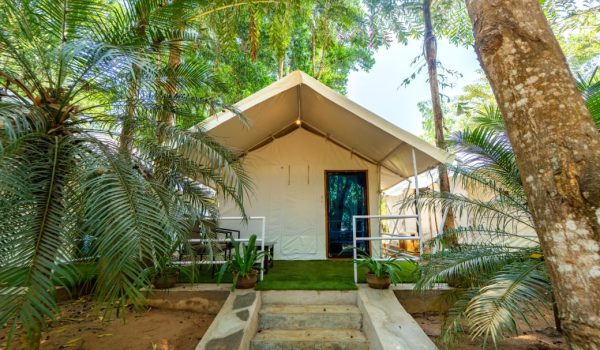 WhatsApp Image 2025-11-12 at 11.23.03 AM (2)