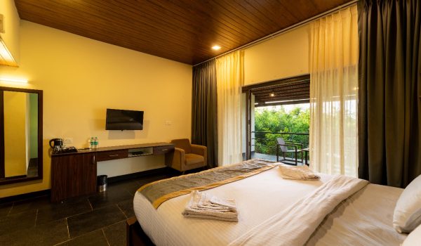 WhatsApp Image 2025-11-12 at 2.54.41 PM