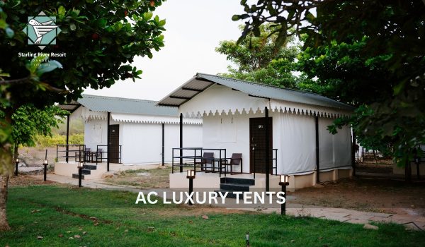 WhatsApp Image 2025-11-12 at 2.54.47 PM