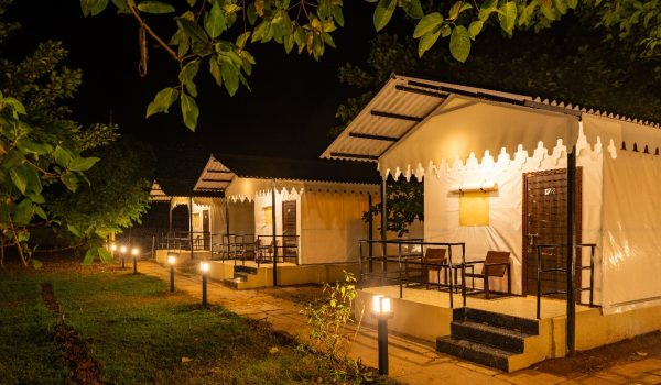 WhatsApp Image 2025-11-12 at 2.54.48 PM