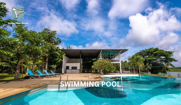 WhatsApp Image 2025-11-12 at 2.56.15 PM (2)