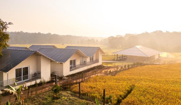 WhatsApp Image 2026-02-21 at 1.54.27 PM