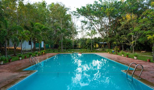 century swimming pool